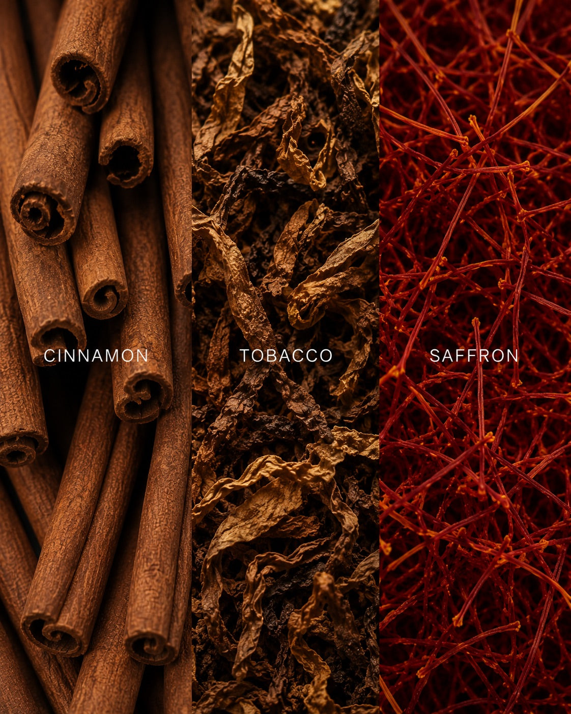 Hangover Eau de Parfum | Insomnia®