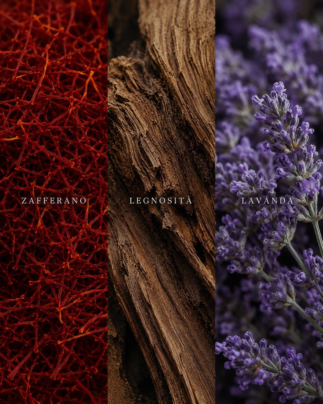 Narcisista Eau de Parfum | Insomnia®